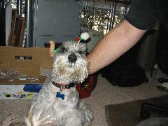 Xmas2006 - IMG_2168.jpg